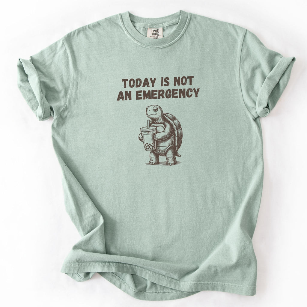 Today Is Not an Emergency turtle Comfort Colors tee in Bay green, flat lay product photo
